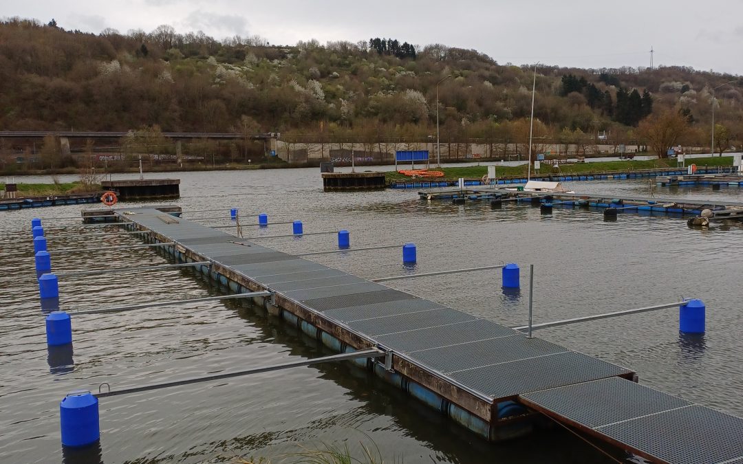 Hafenarbeitstag März 2026